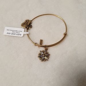 Alex and Ani Snowflake Charm Bangle ❄️